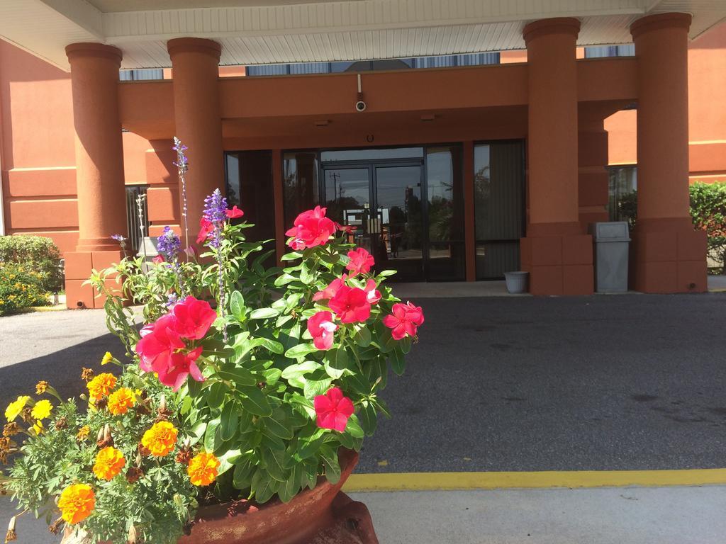 Luxury Suites Pensacola Exterior foto